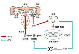 三线城市做hcg检查_1