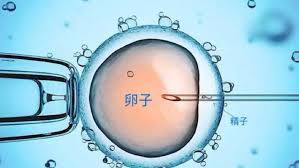 患有子宫腺肌症可以做试管婴儿吗_1