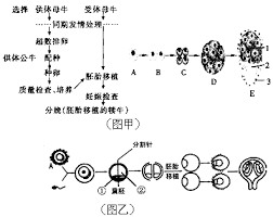 三代试管_1